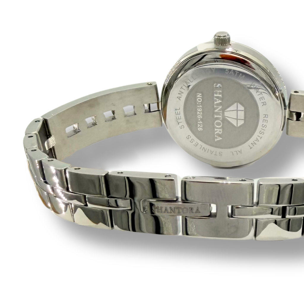 Shantora Moonlit Frost | Clear Stone & Silver Band